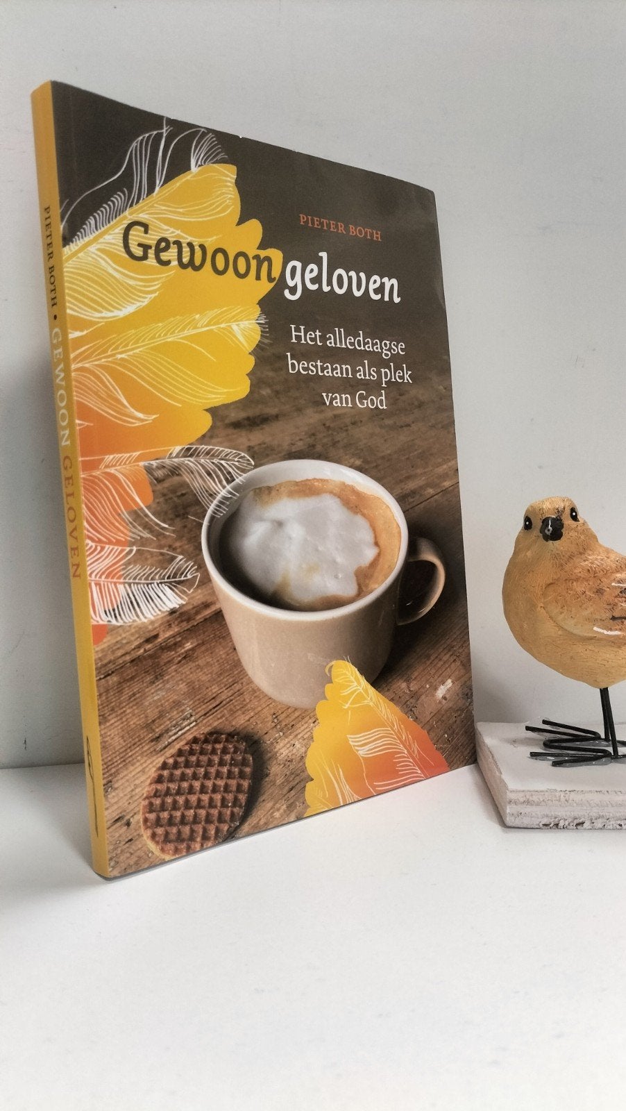Both, Pieter; Gewoon geloven, Ophalen of Verzenden, Gelezen, Christendom | Protestants