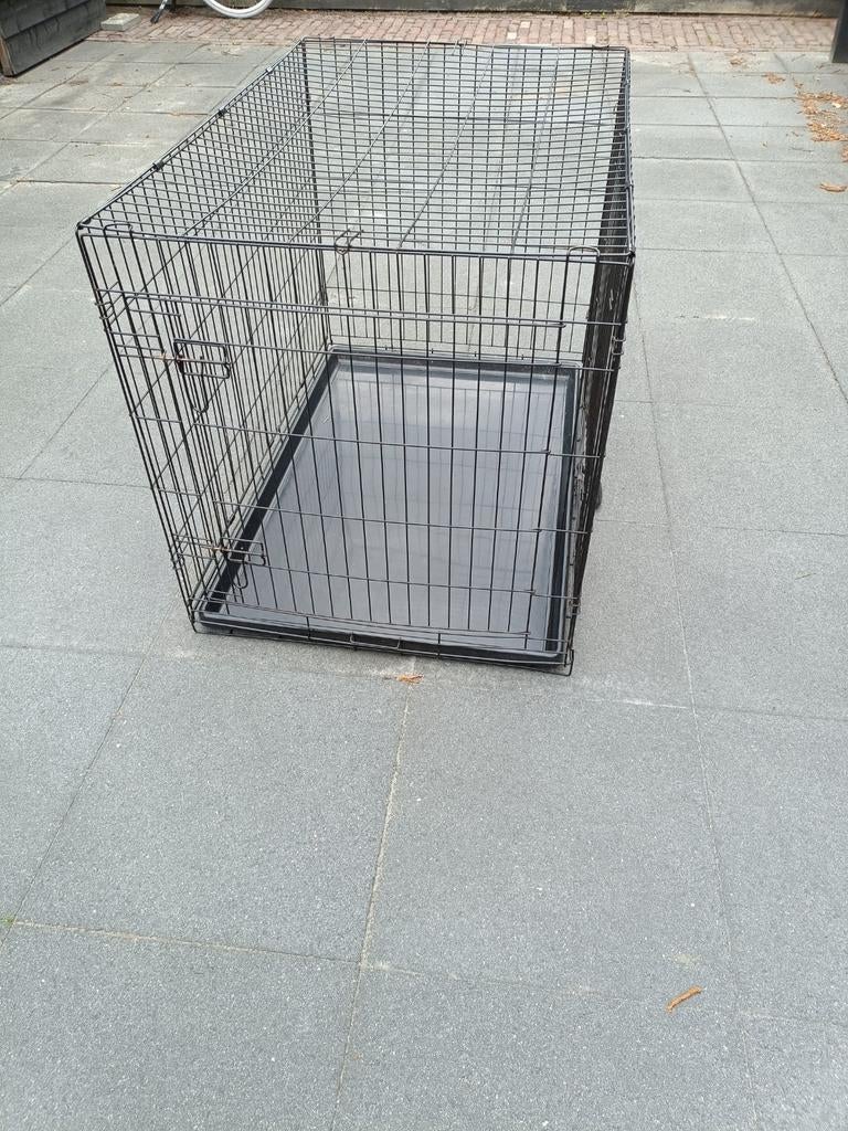 Zwarte hondenbenche, Ophalen
