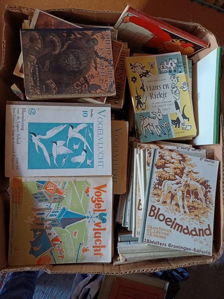Verzameling Oude Schoolboekjes - Nostalgische Educatie, Gelezen, Overige vakken, Diverse, Ophalen of Verzenden