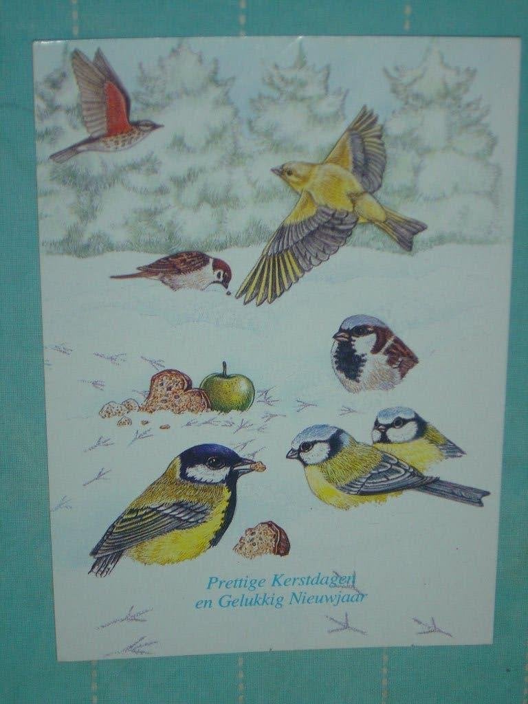 18) kleuren ansichtkaart vogeltjes, Ophalen of Verzenden, 1980 tot heden, Gelopen, Vogel