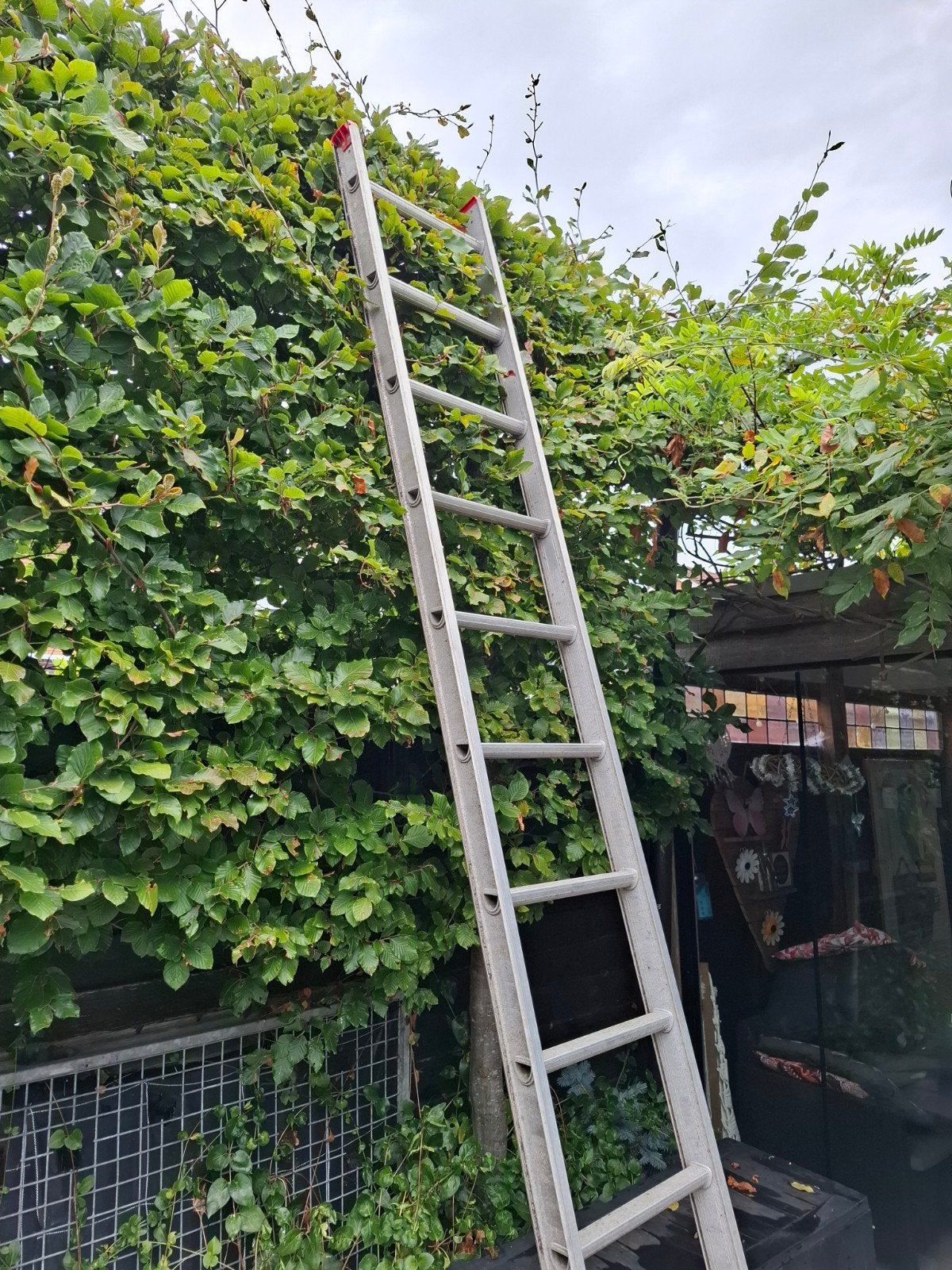 Ladder 3.30m met 12 treden te koop, Ophalen, Gebruikt, Ladder, 2 tot 4 meter