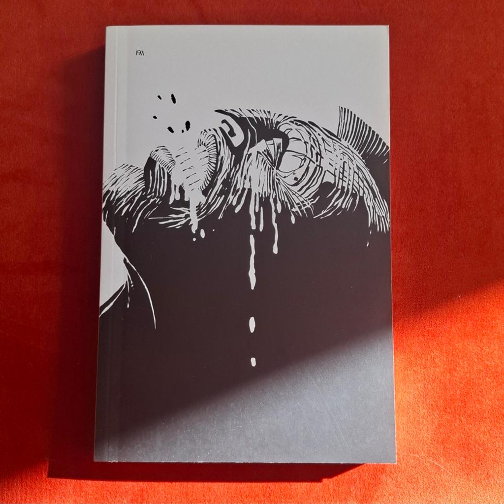 Sin City: Hard Goodbye (paperback), Boeken, Strips | Comics, Eén comic, Amerika, Ophalen of Verzenden, Zo goed als nieuw