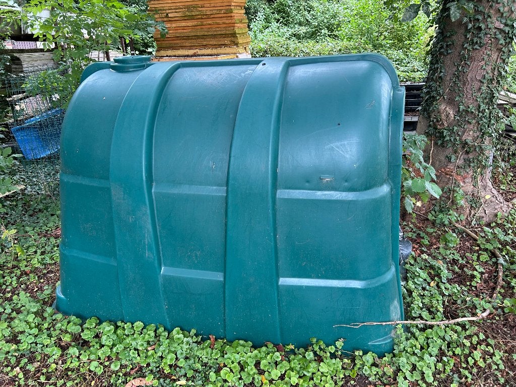 Kalverhut groen, Meerdere dieren, Schaap, 6 jaar of ouder