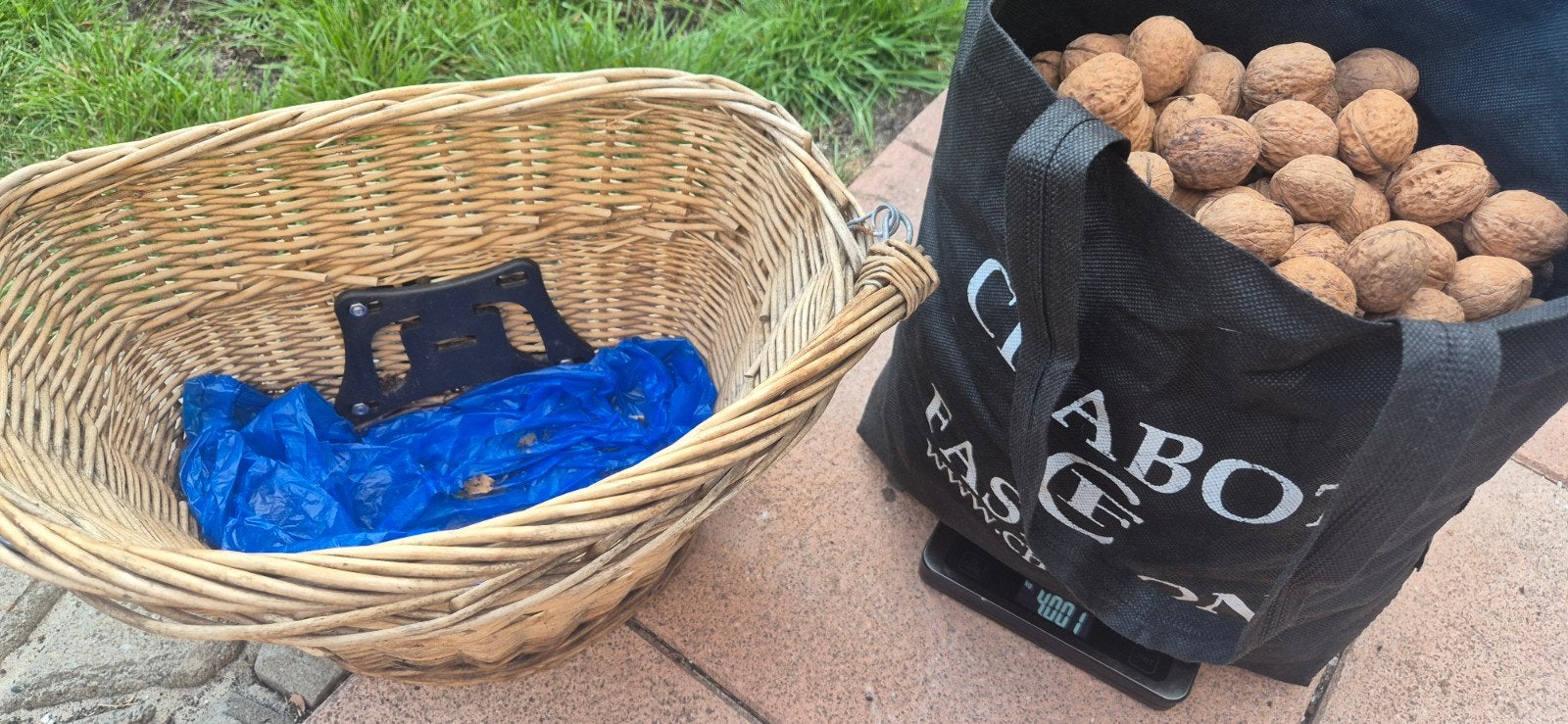 walnoten in een mandje 4kg, Diversen, Ophalen