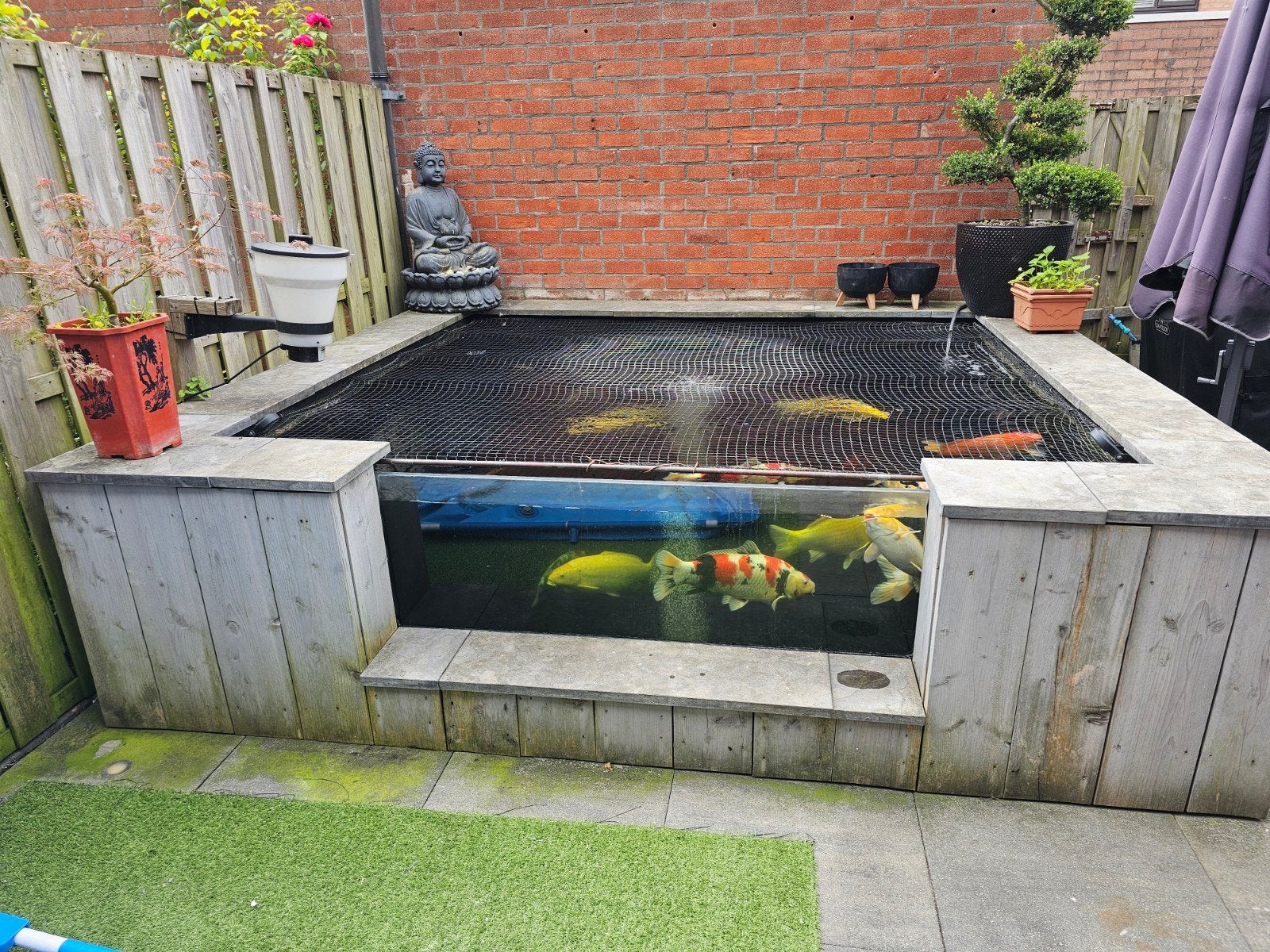 Koivijver met Japanse koi en trommelfilterlijn, Tuin en Terras, Vijver-toebehoren, Ophalen