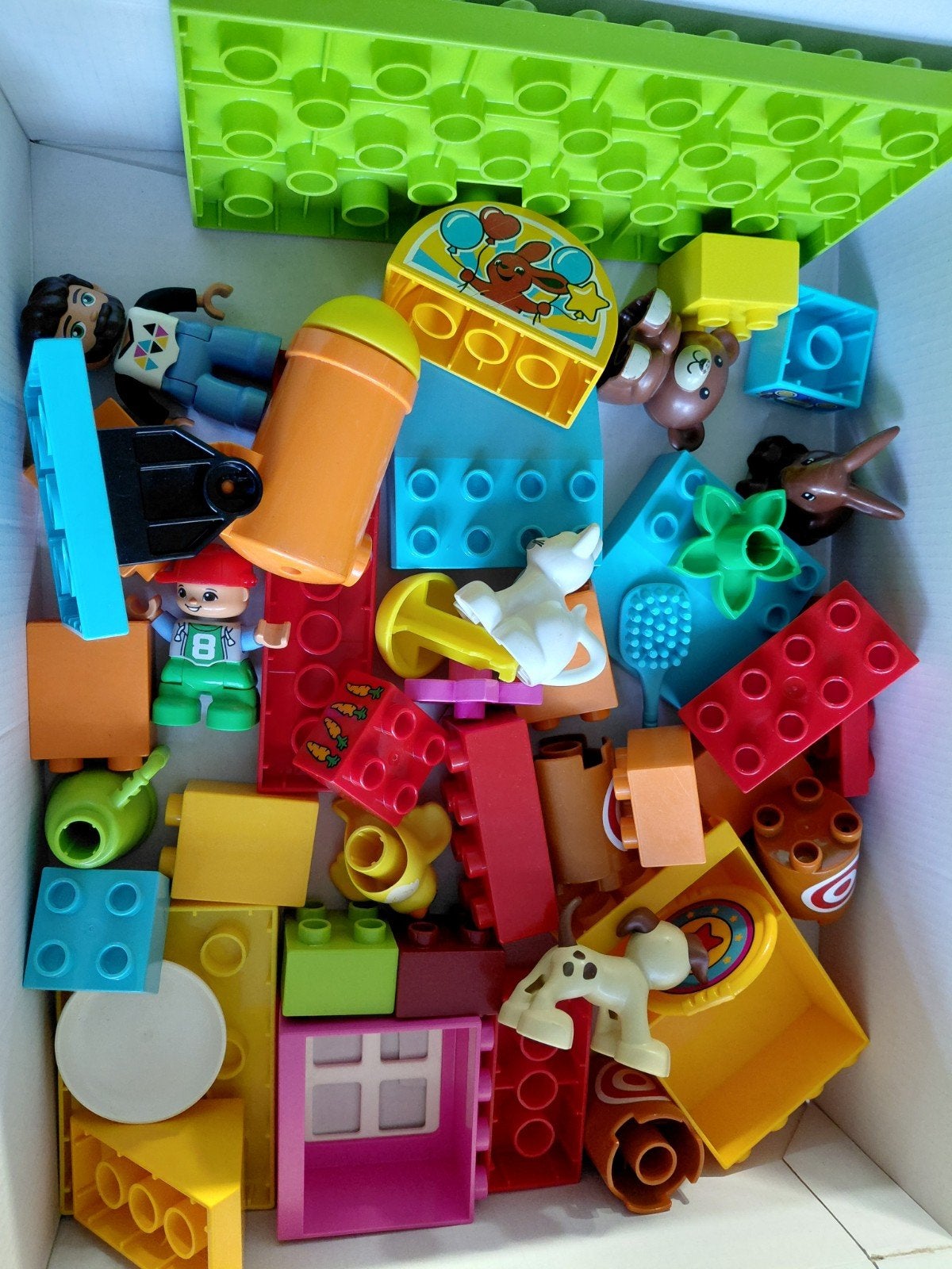 duplo schiettent en huisdieren, Ophalen of Verzenden, Zo goed als nieuw