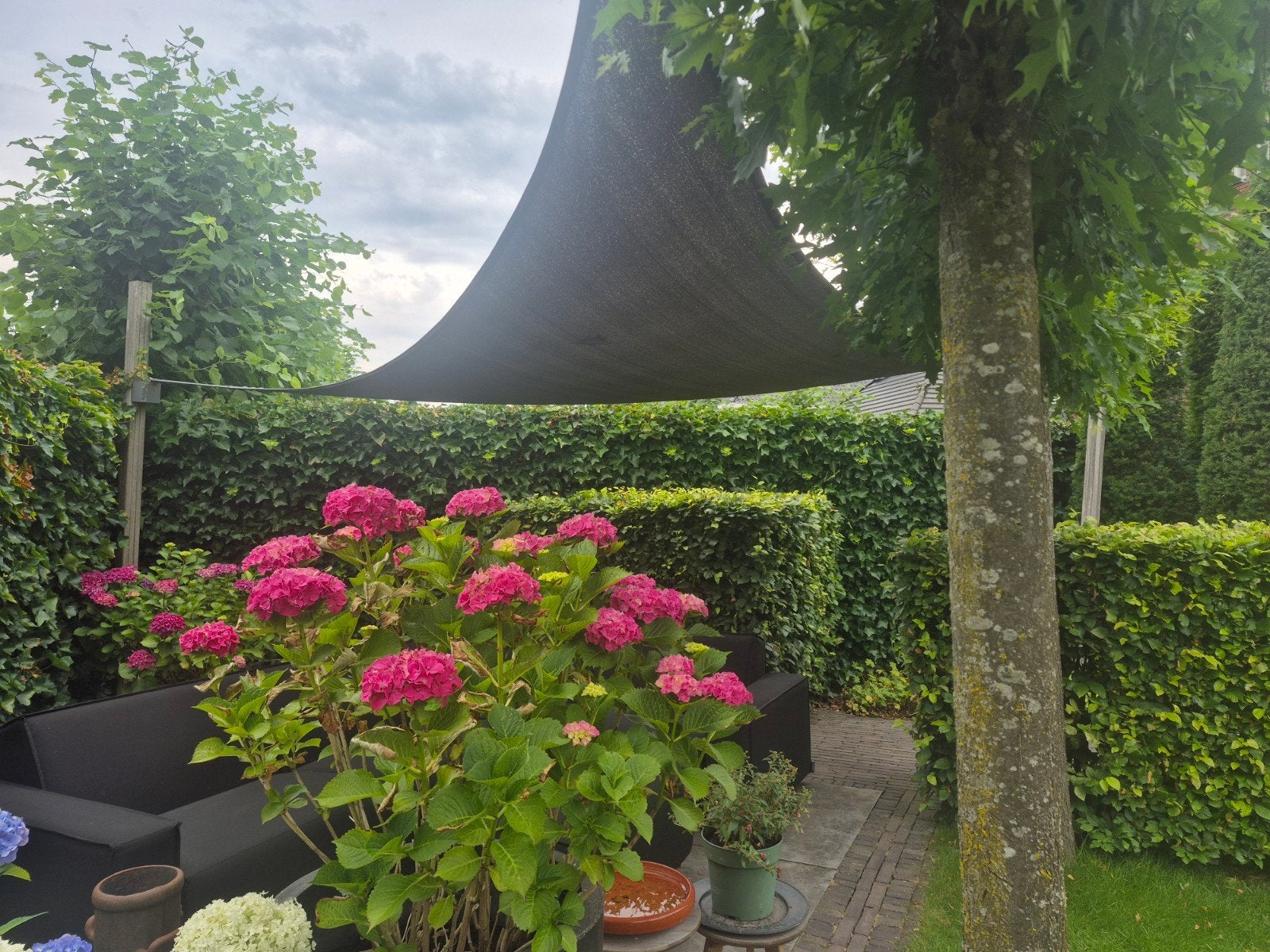 Schaduwdoek driehoek incl 3 palen van hardhout, Ophalen