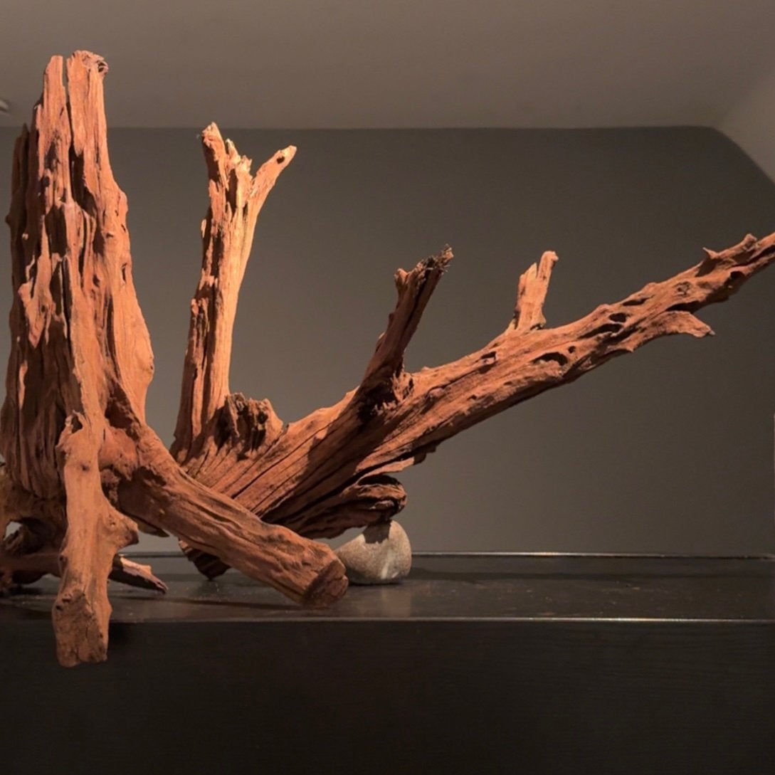 XXL Aquascape Set / Kienhout / Driftwood, Hout Decoratie, Ophalen of Verzenden, Zo goed als nieuw, Plant(en), Steen of Hout