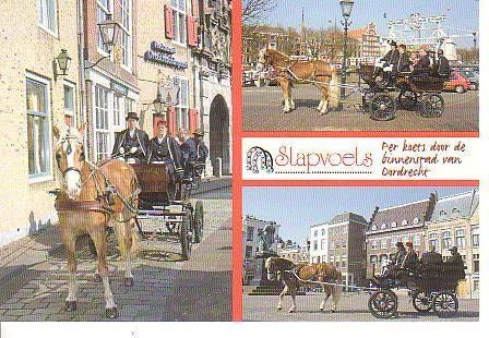 Ansichtkaart	Dordrecht	Stapvoets	3-luik, Verzamelen, Ansichtkaarten | Nederland, Verzenden, 1980 tot heden, Gelopen, Zuid-Holland