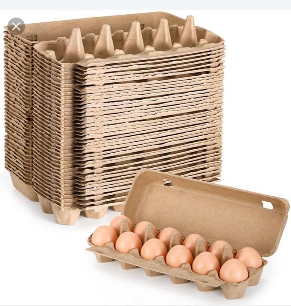 Eierdozen 10er karton, Ophalen of Verzenden, Drinken en Voederen