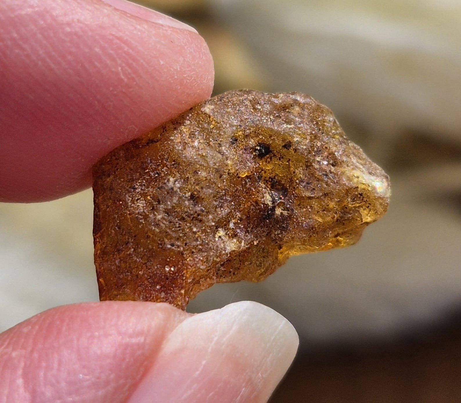 Copal/ Jonge Amber, Ophalen of Verzenden