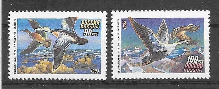 Rusland 1993  Eenden, Verzenden, Postfris