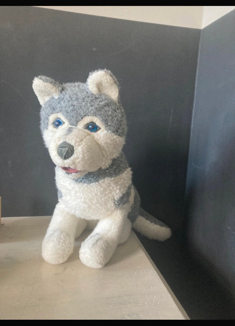Hele mooie husky knuffel, Ophalen of Verzenden, Zo goed als nieuw