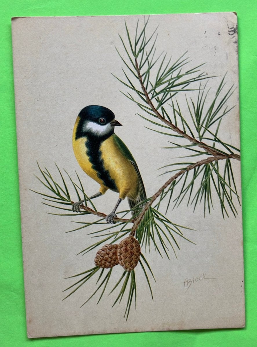 Ansichtkaart vogel, Ophalen of Verzenden, Gelopen