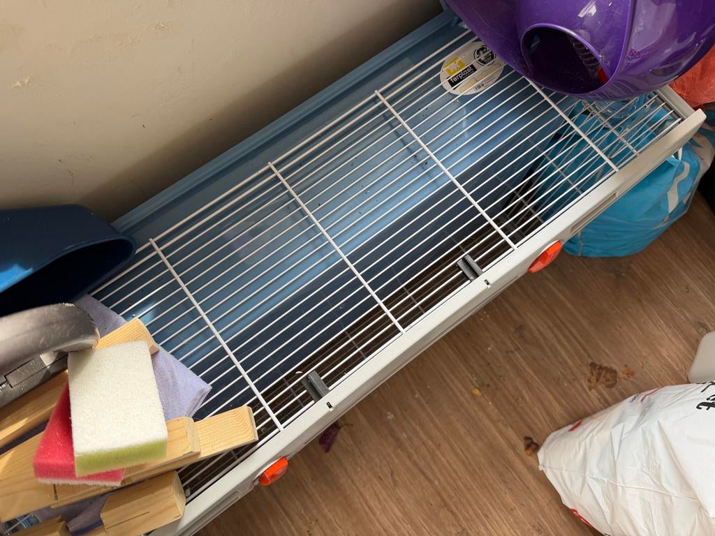 Kooi voor hamster, Dieren en Toebehoren, Minder dan 60 cm, Kooi, Minder dan 75 cm, Ophalen of Verzenden