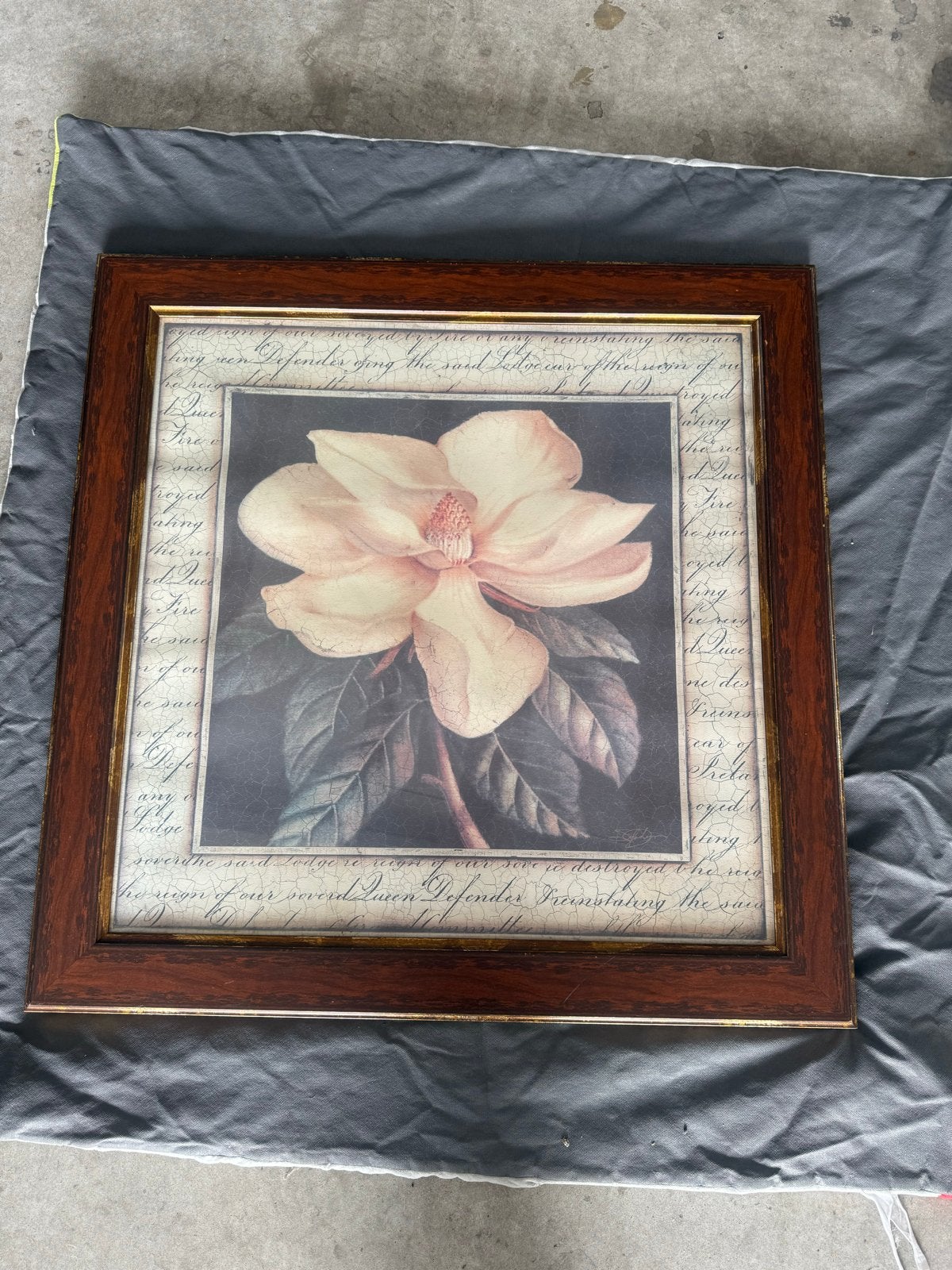 Ingelijste bloemenprint met magnolia schilderij, 50 – 75, Gebruikt, Ophalen of Verzenden, Print