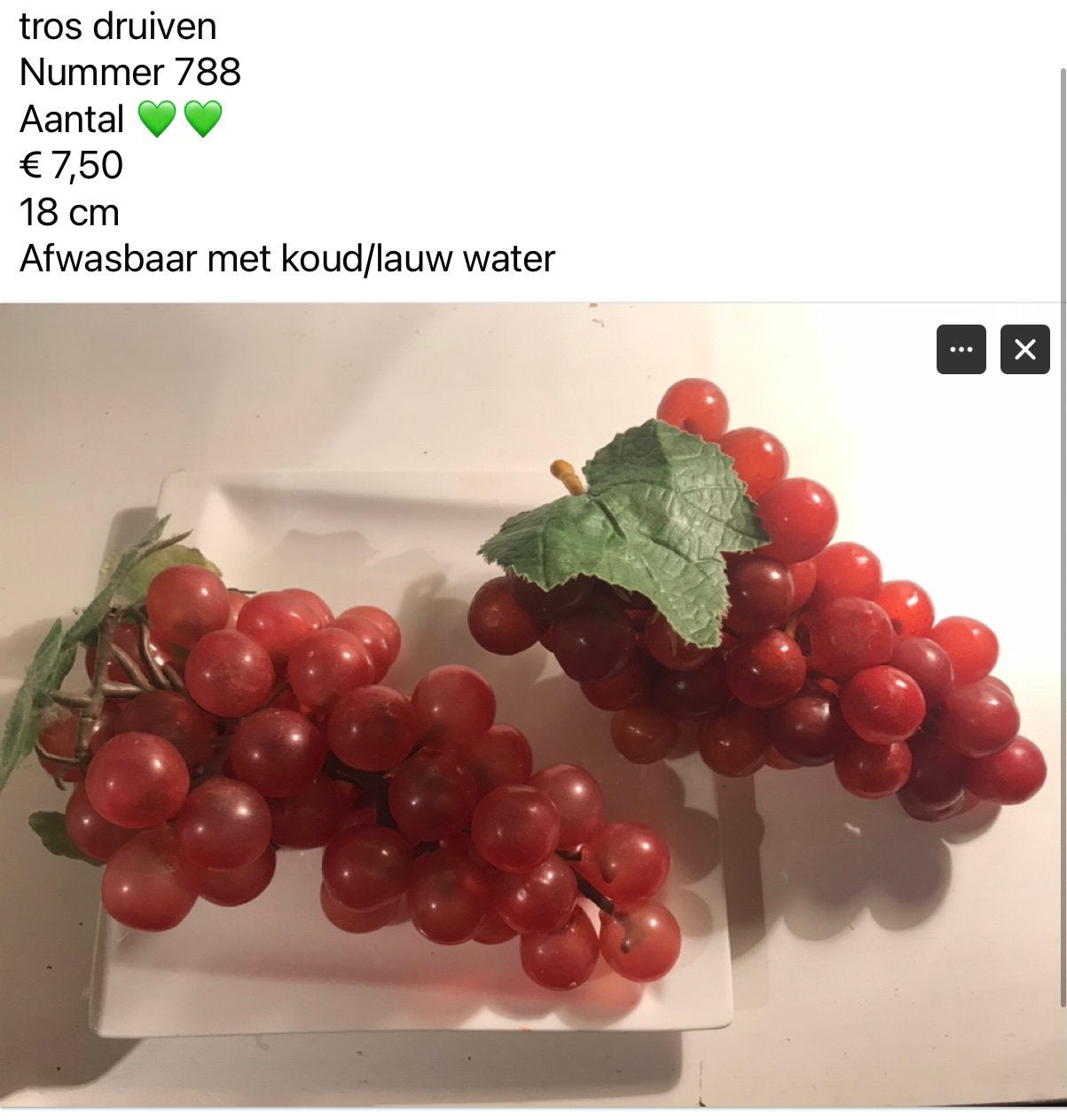 Div decoratie fruit DEEL 2, Ophalen, Nieuw