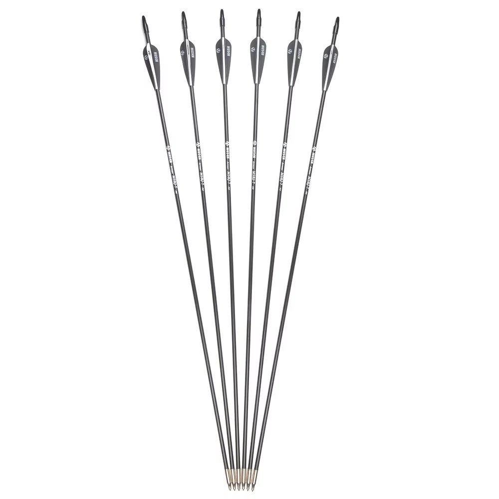 Glasvezel Pijlen Set / Boogschieten Pijl En Boog Hangboog, Sport en Fitness, Handboogschieten, Verzenden, Nieuw, Pijlen