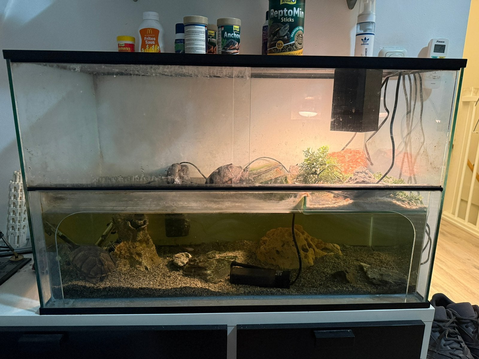 Terrarium met 2 Schilpadden en visjes 80 cm breed, Dieren en Toebehoren, Ophalen, Gebruikt, Terrarium of Paludarium
