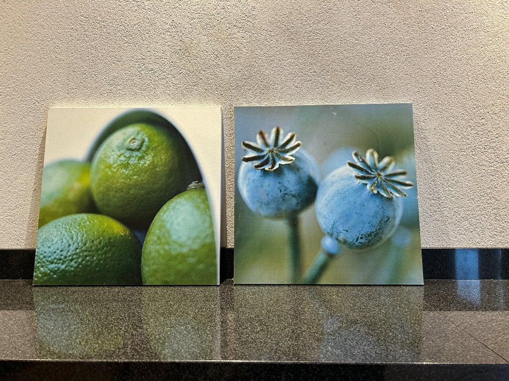 canvasafdrukken, Ophalen, Minder dan 50 cm, Gebruikt, Print