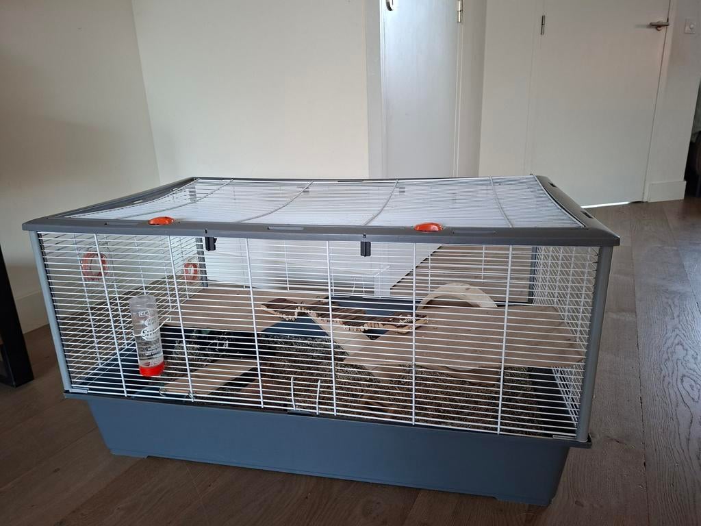 Hamster/caviakooi, Dieren en Toebehoren, Kooi, Zo goed als nieuw, Cavia, 75 tot 110 cm