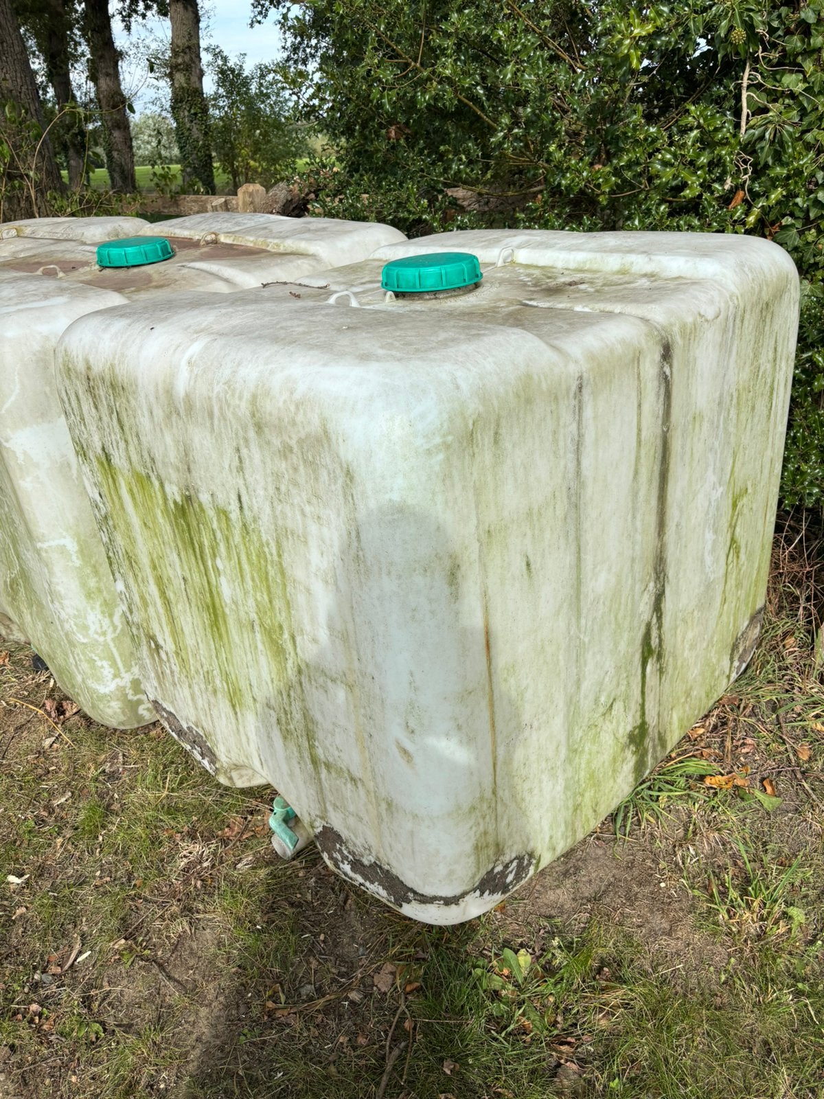 Ibc vat regenton water gratis, 150 liter of meer, Ophalen, Gebruikt, Kunststof