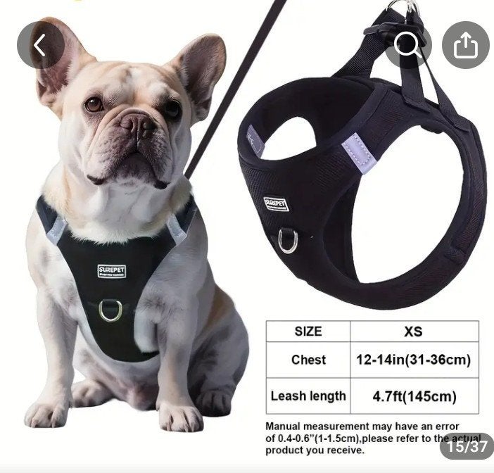 Honden tuigje voor de kleine hond, Dieren en Toebehoren, Ophalen of Verzenden, Nieuw