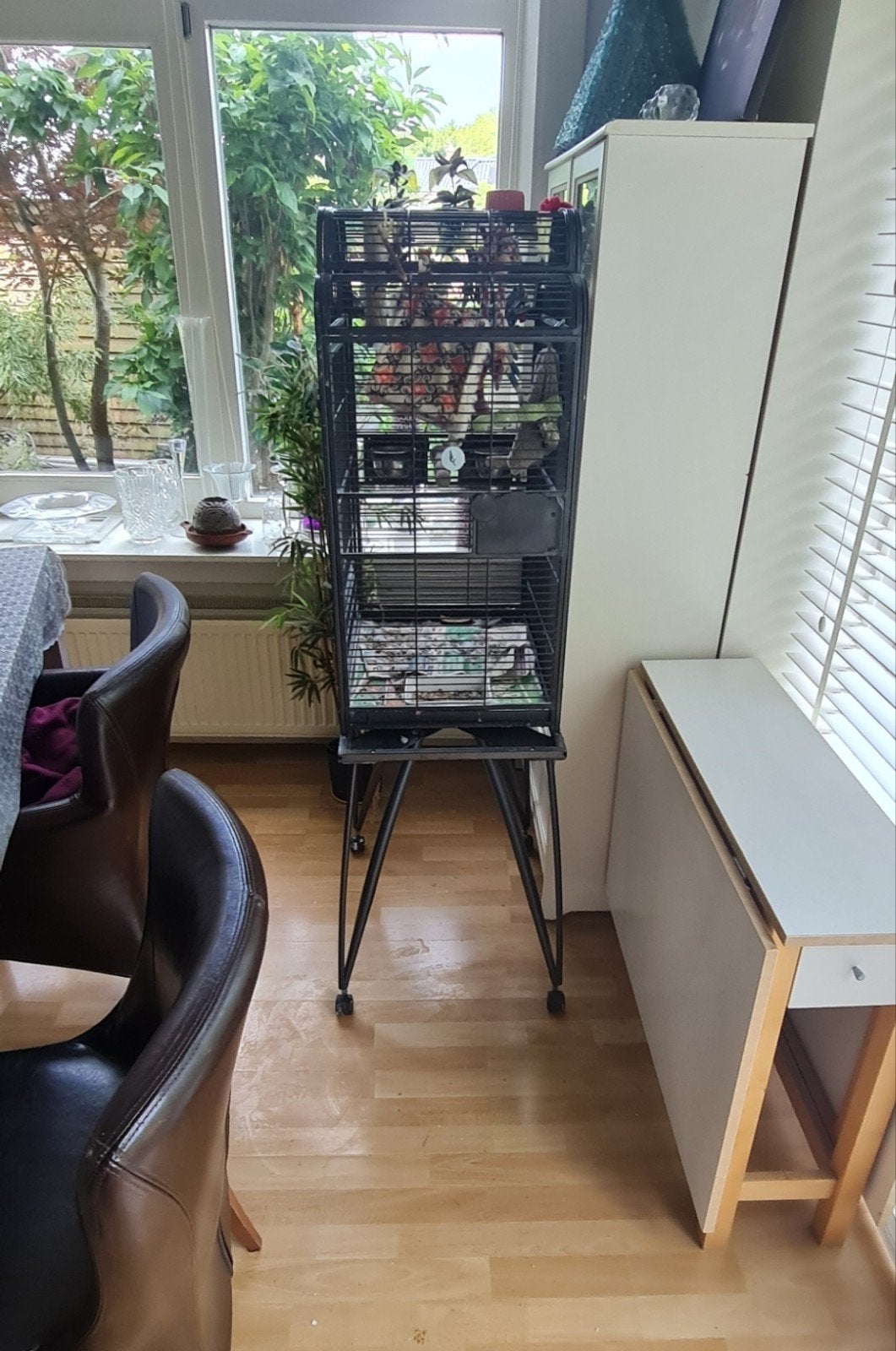 Stevige papegaaienkooi op wielen, Ophalen of Verzenden, Zo goed als nieuw, Metaal, Vogelkooi