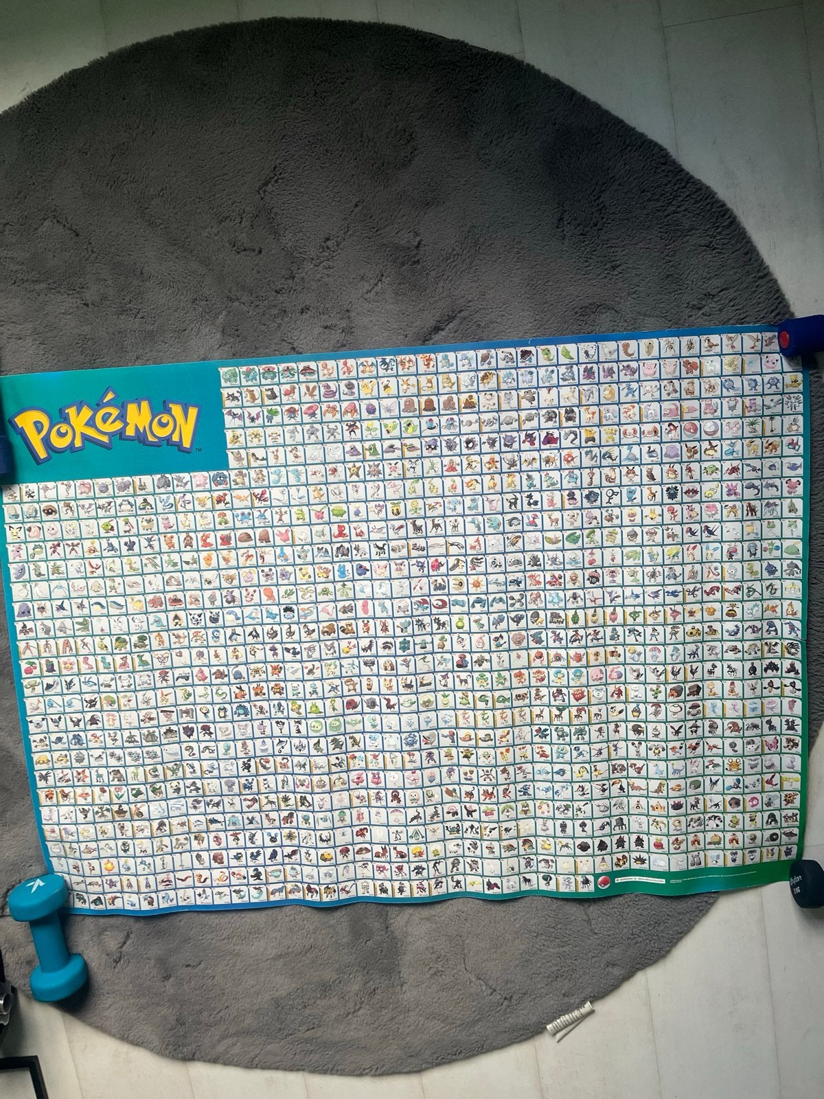 Pokémon Poster - Alle 898 Pokémon - 120x85 cm, Ophalen of Verzenden, Nieuw
