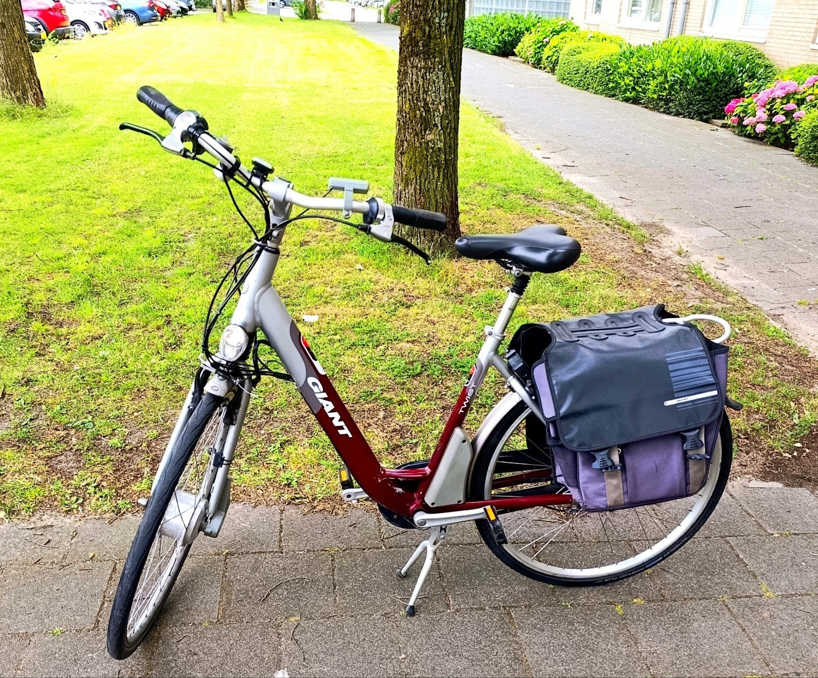Giant Twist double accu electric bike, Gebruikt, 47 tot 51 cm, 30 tot 50 km per accu, Ophalen