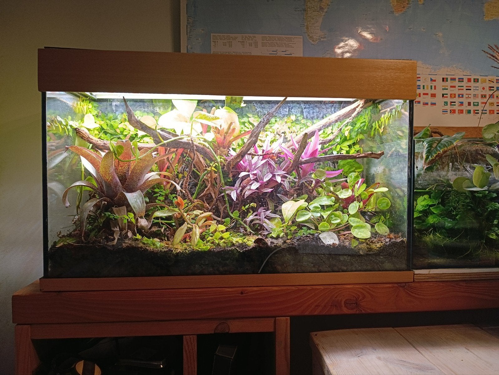 Terrarium (80x36x50), 0 tot 2 jaar