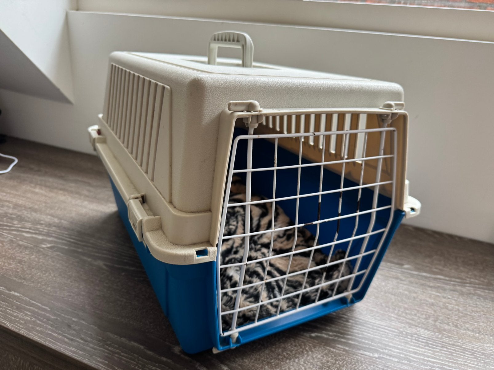 Reismandje kat, Dieren en Toebehoren, Ophalen, Gebruikt