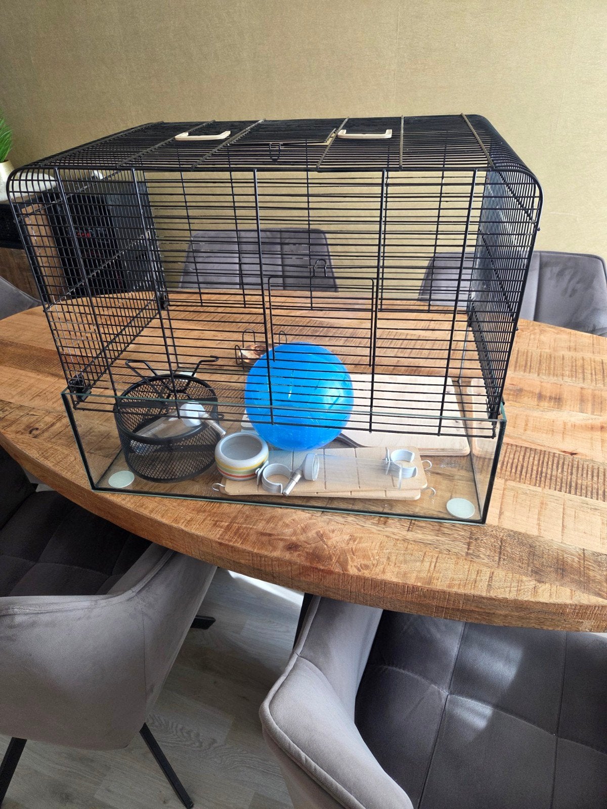 hamsterkooi, Kooi, Gebruikt, Minder dan 75 cm, Hamster