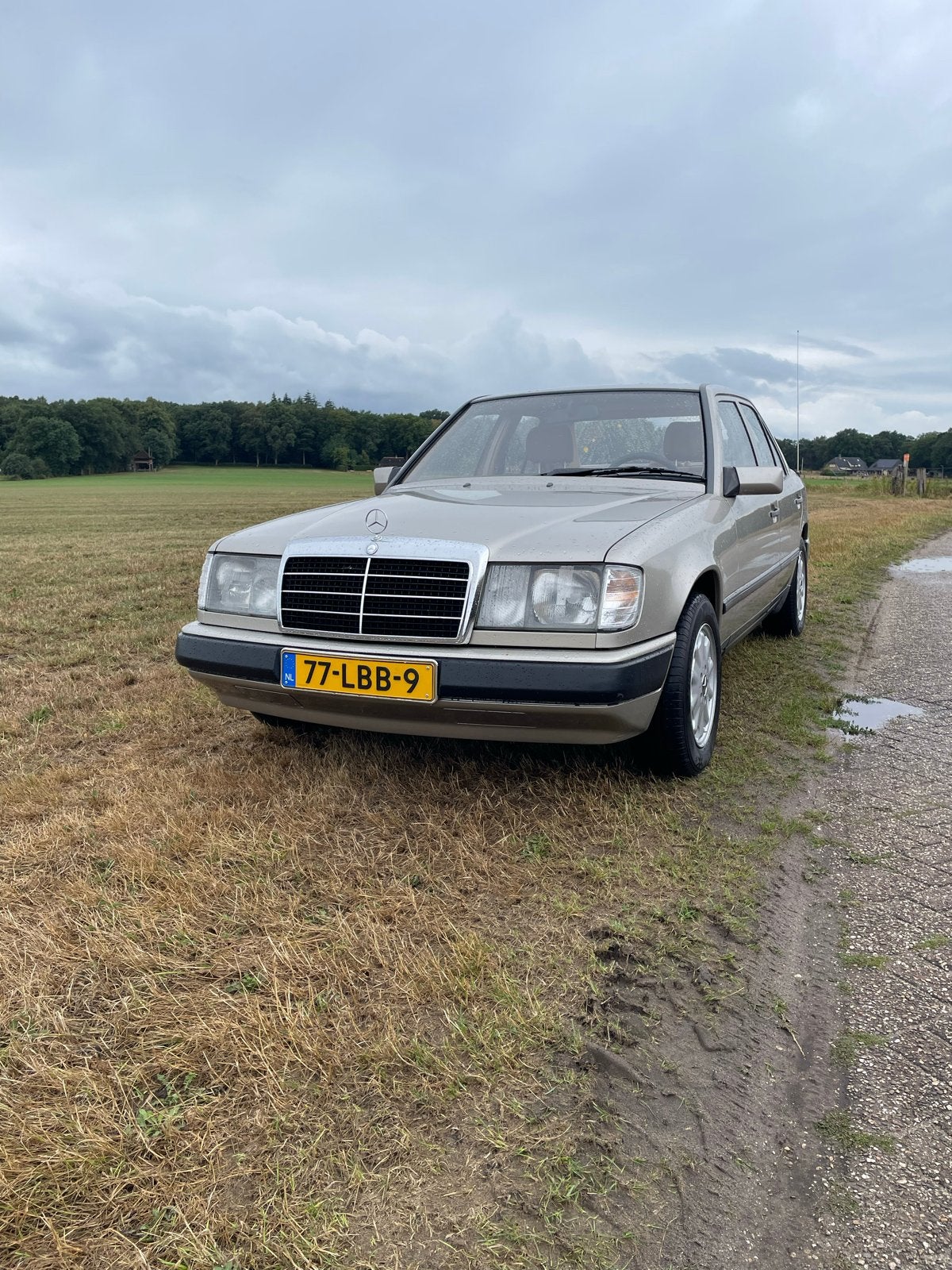 Mercedes-Benz 200-Serie 2.0 200 D  1985 Grijs W124, 1272 kg, 74 pk, Beige, 4 cilinders