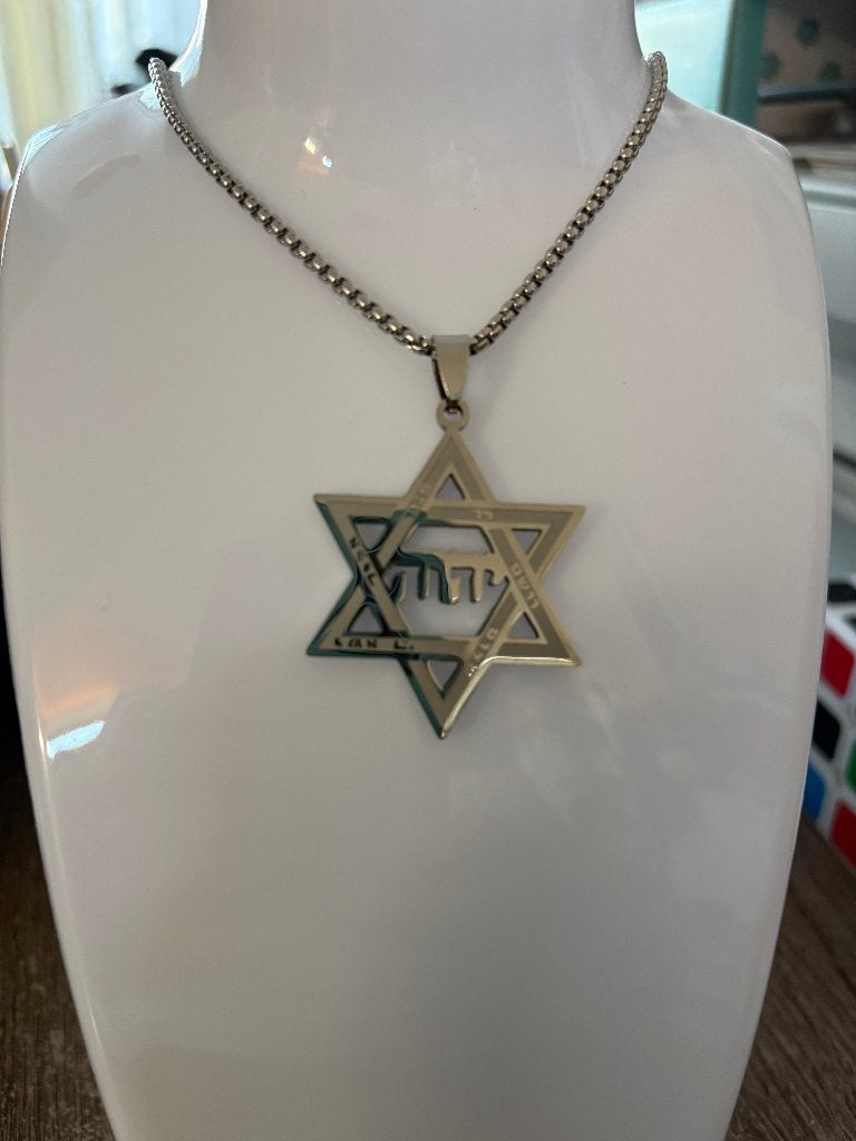 Davidster Tetra grammaton Yahweh Hebreeuwse ketting RVS, Nieuw, Ophalen of Verzenden, Zilver, Overige materialen