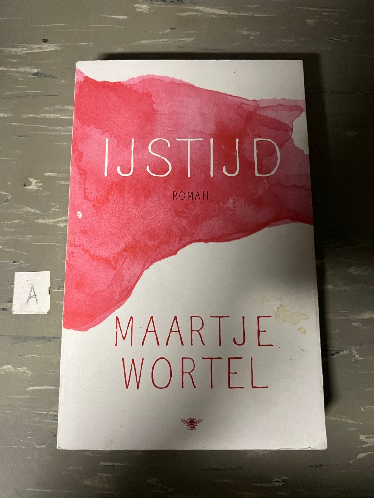 IJstijd - Roman van Maartje Wortel, Ophalen of Verzenden, Zo goed als nieuw