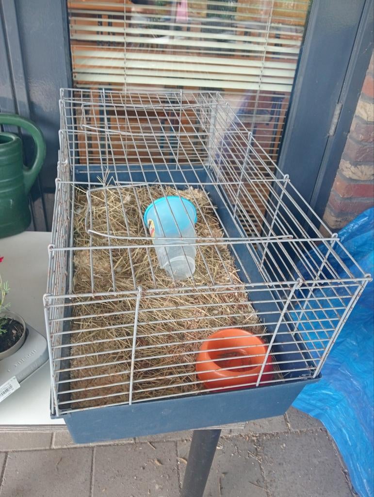 Konijnen cavia kooi, Ophalen of Verzenden, Kooi, Minder dan 60 cm