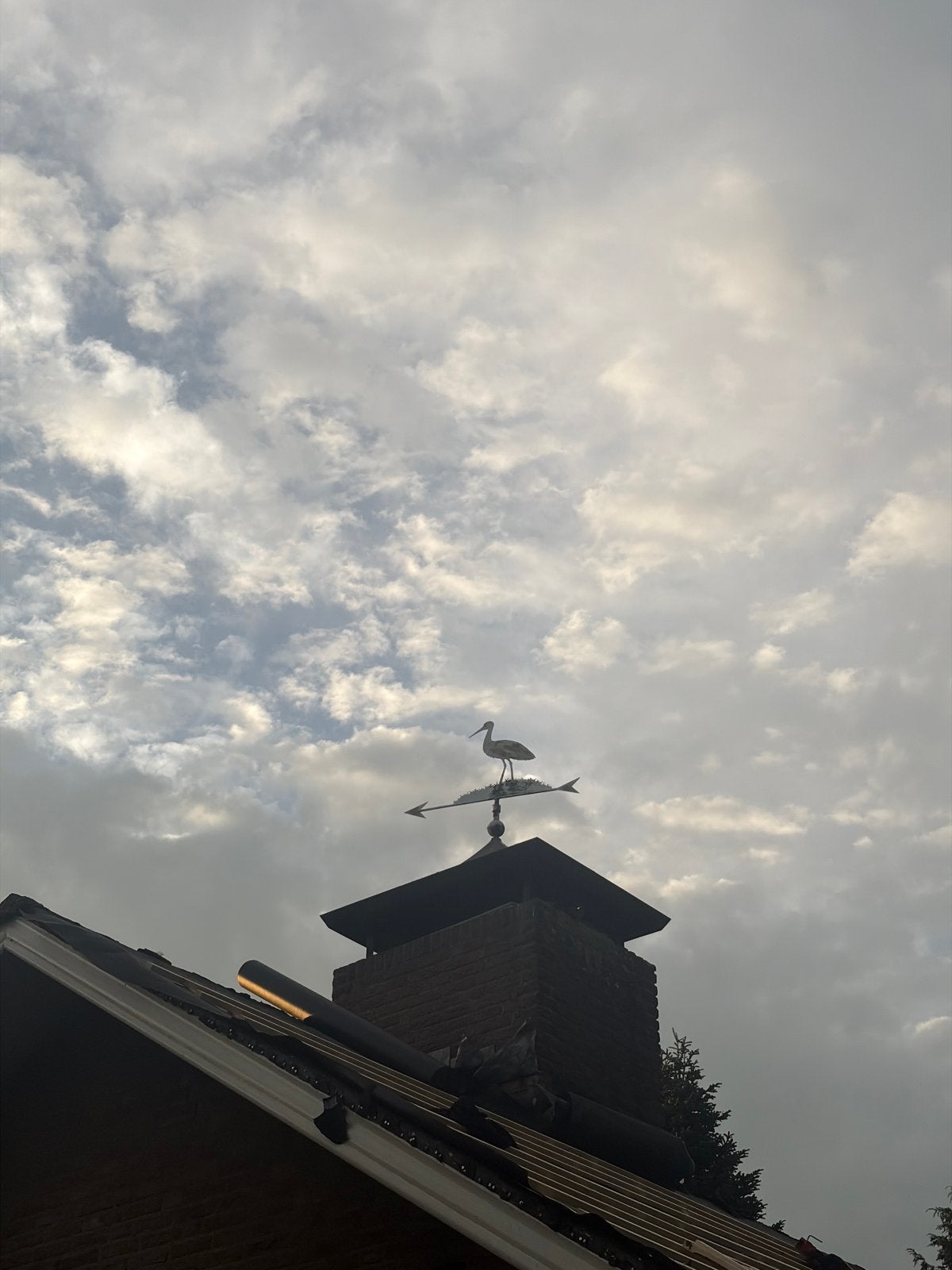 Weerhaan ooievaar voor op het dak incl sierkap, Tuin en Terras, Ophalen, Gebruikt