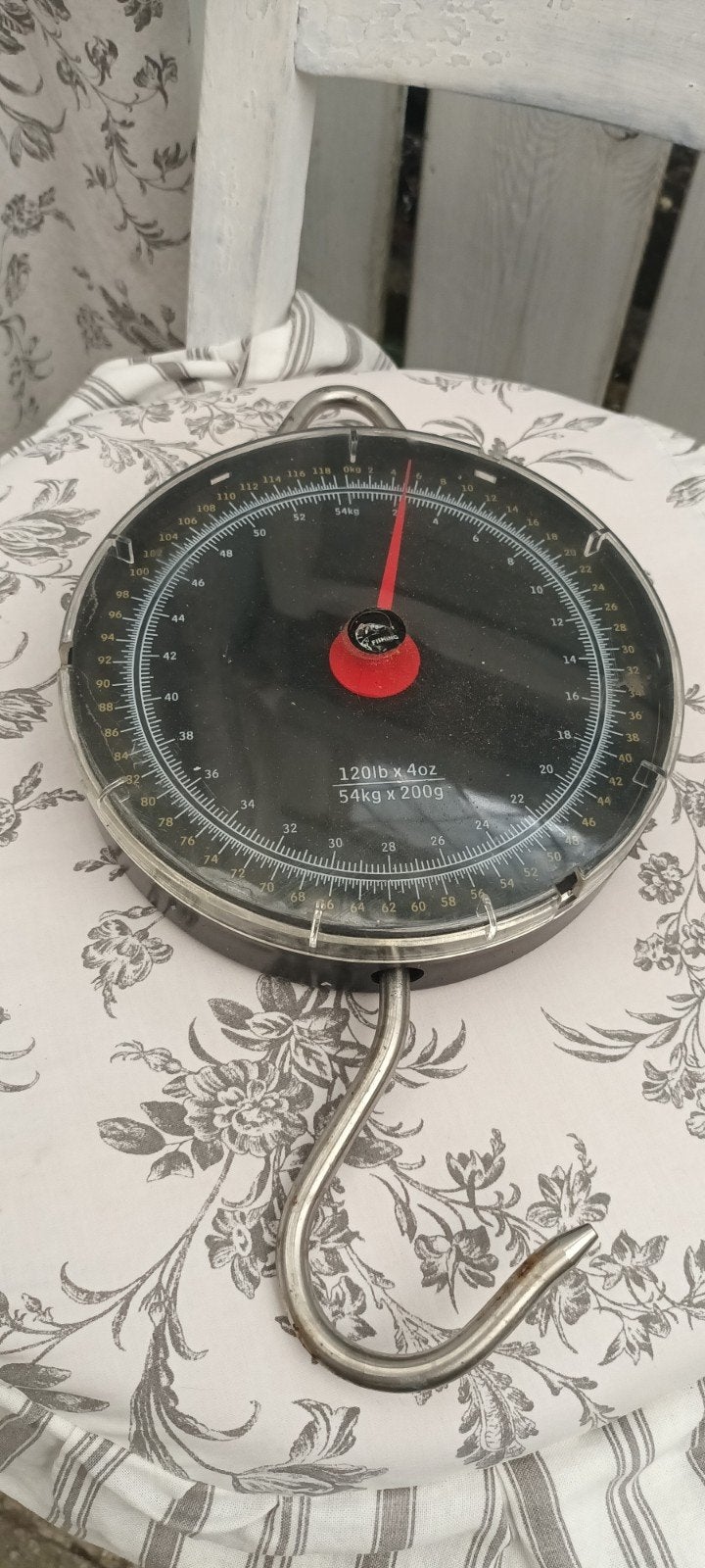 Vis weegschaal met haak tot 54 kg x 200 gram, Ophalen of Verzenden, Zo goed als nieuw, Overige typen