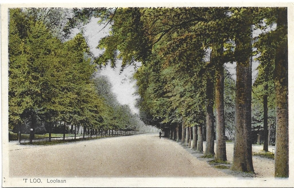 Apeldoorn;  't Loo - Loolaan, Verzenden, 1920 tot 1940, Ongelopen, Gelderland