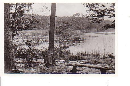 Ansichtkaart 	Oisterwijk	De Belvertshoeve	Vacantieverblijf, Verzenden, 1960 tot 1980, Gelopen, Noord-Brabant