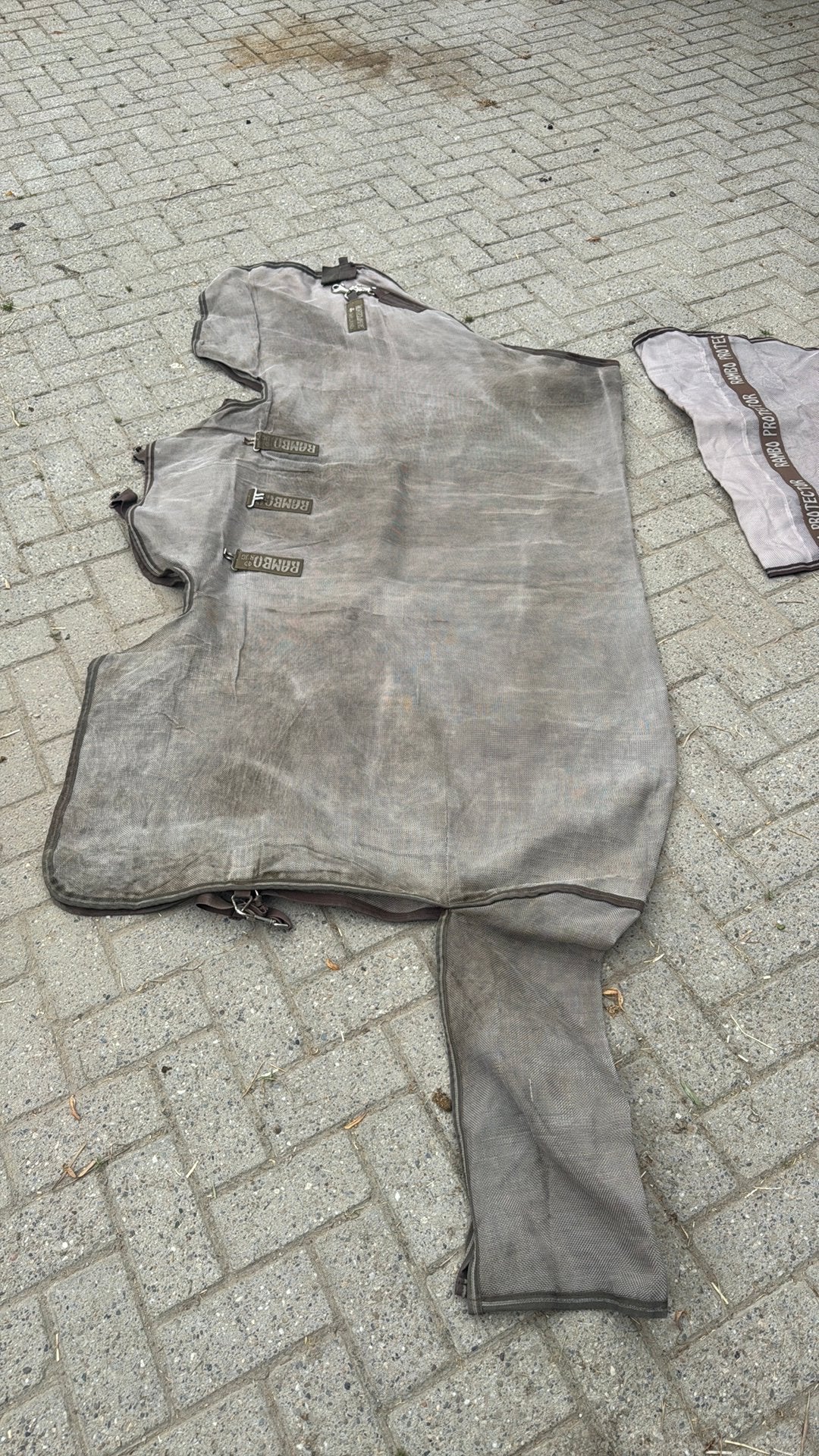 Horseware rambo protector 6,3”, Ophalen of Verzenden, Zo goed als nieuw