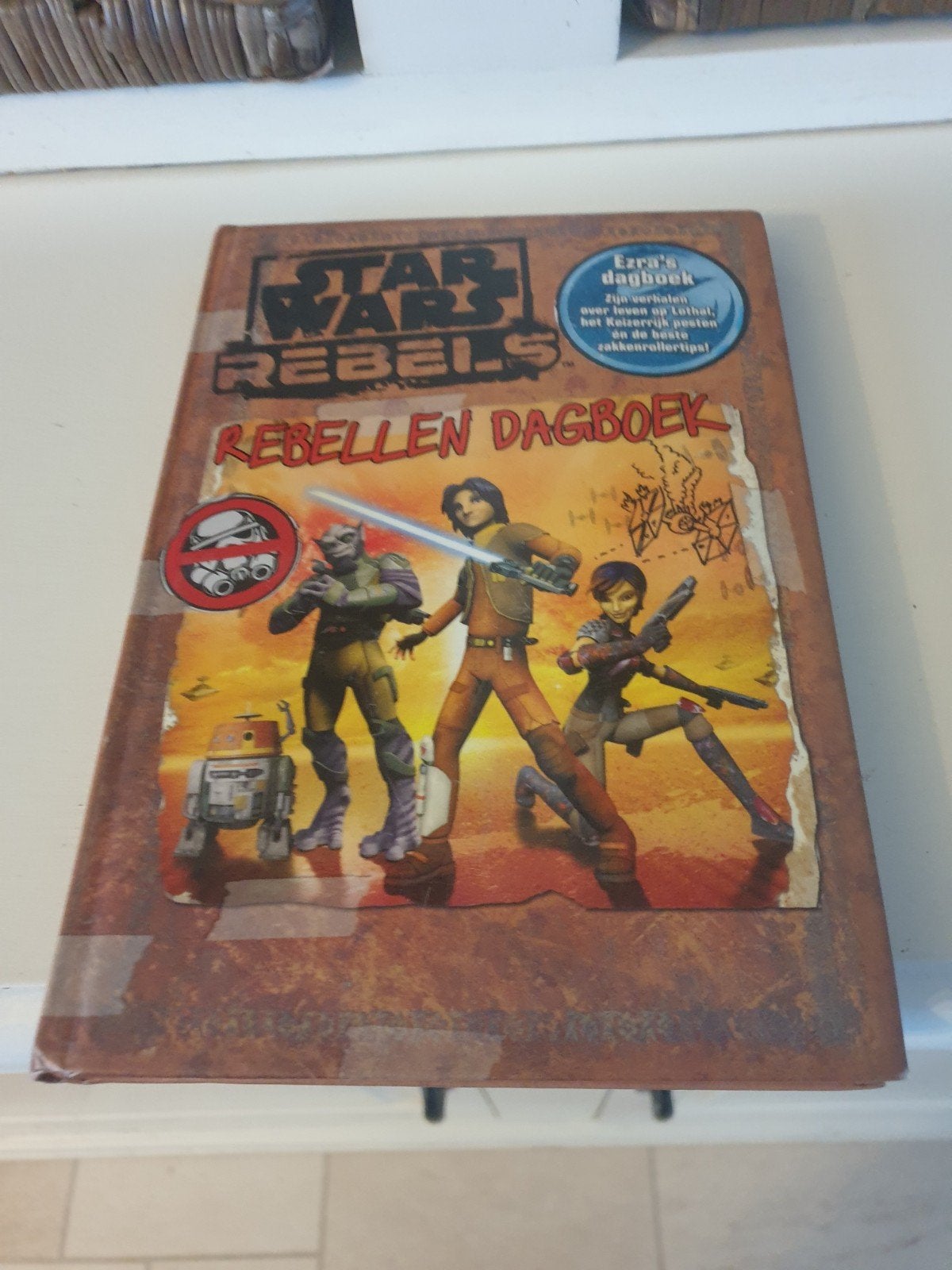 Daniel Wallace - Rebellen dagboek, Ophalen of Verzenden, Zo goed als nieuw
