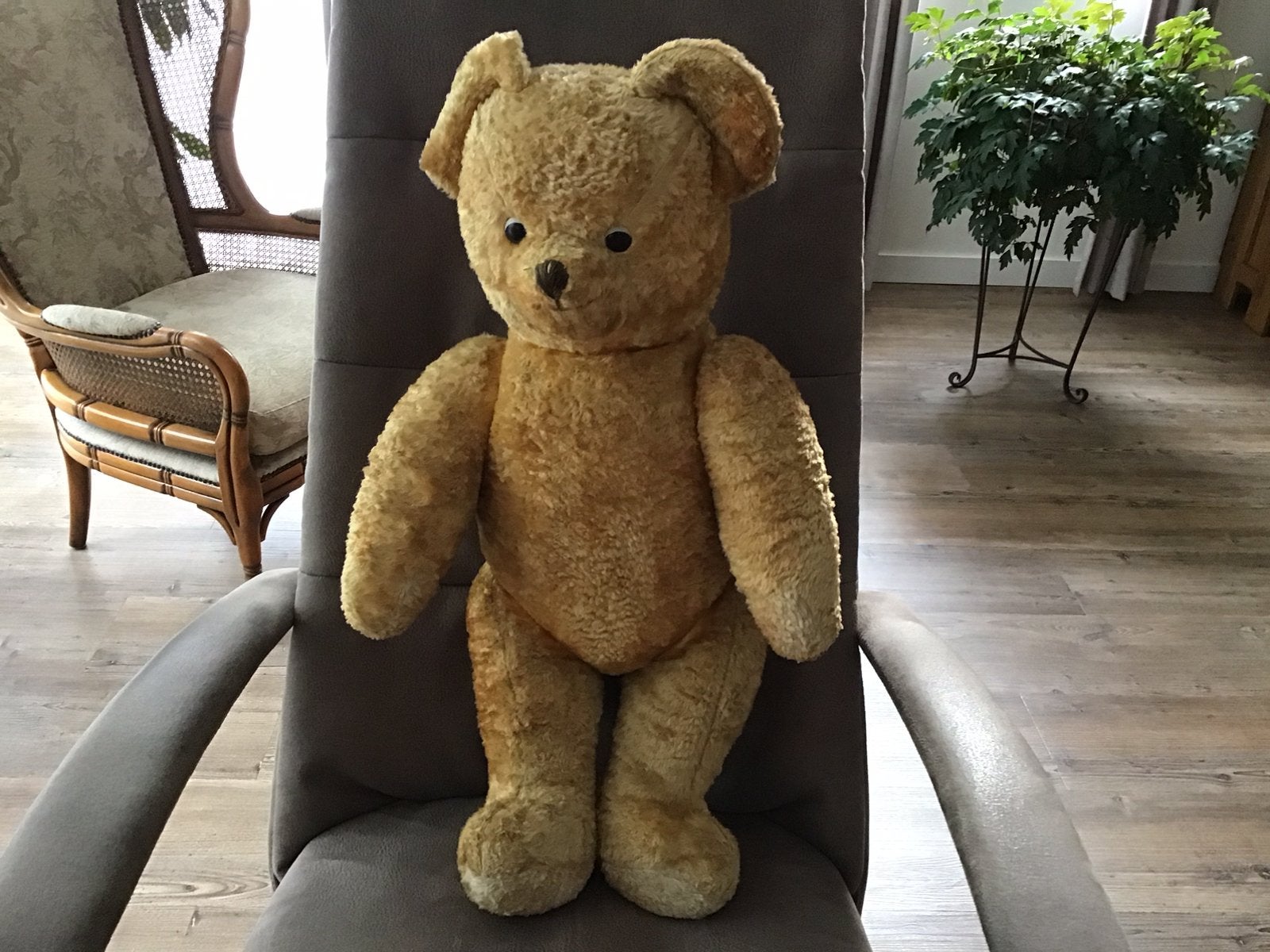 Teddiebeer. Vintage zeer oud model, Verzenden, Zo goed als nieuw, Stoffen beer, Overige merken