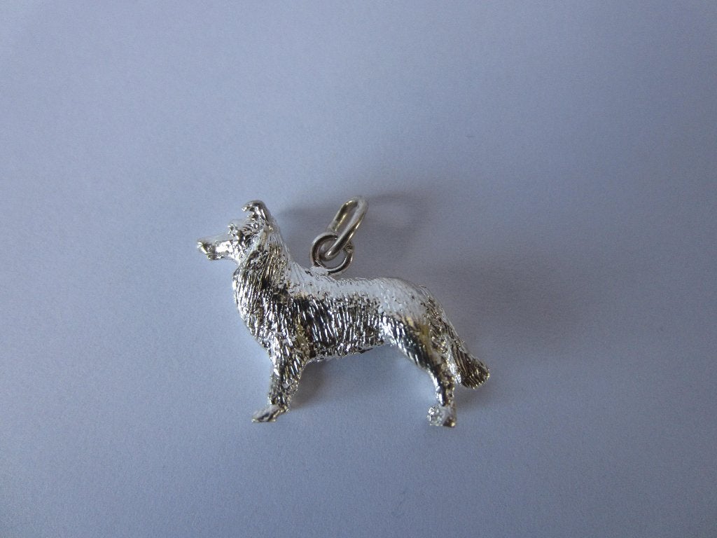 Border Collie == Zilver = Hanger = NIEUW== INCL.VERZENDEN, Nieuw, Ophalen of Verzenden, Zilver, Dier