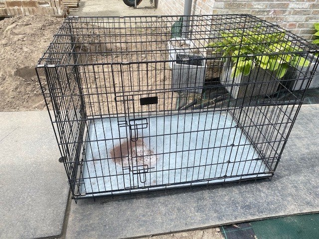 Hondenbench voor grote hond, zwart, Dieren en Toebehoren, Ophalen, Gebruikt