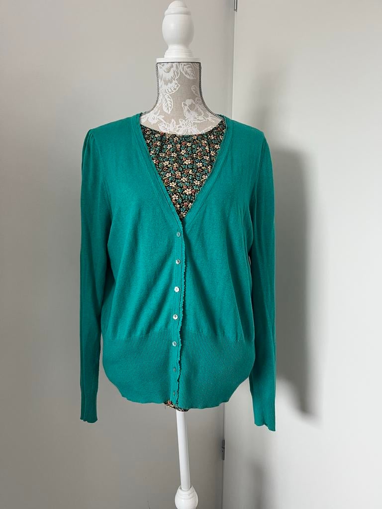 King Louie set, Kleding | Dames, Truien en Vesten, Gedragen, Maat 42/44 (L), Groen, Ophalen of Verzenden