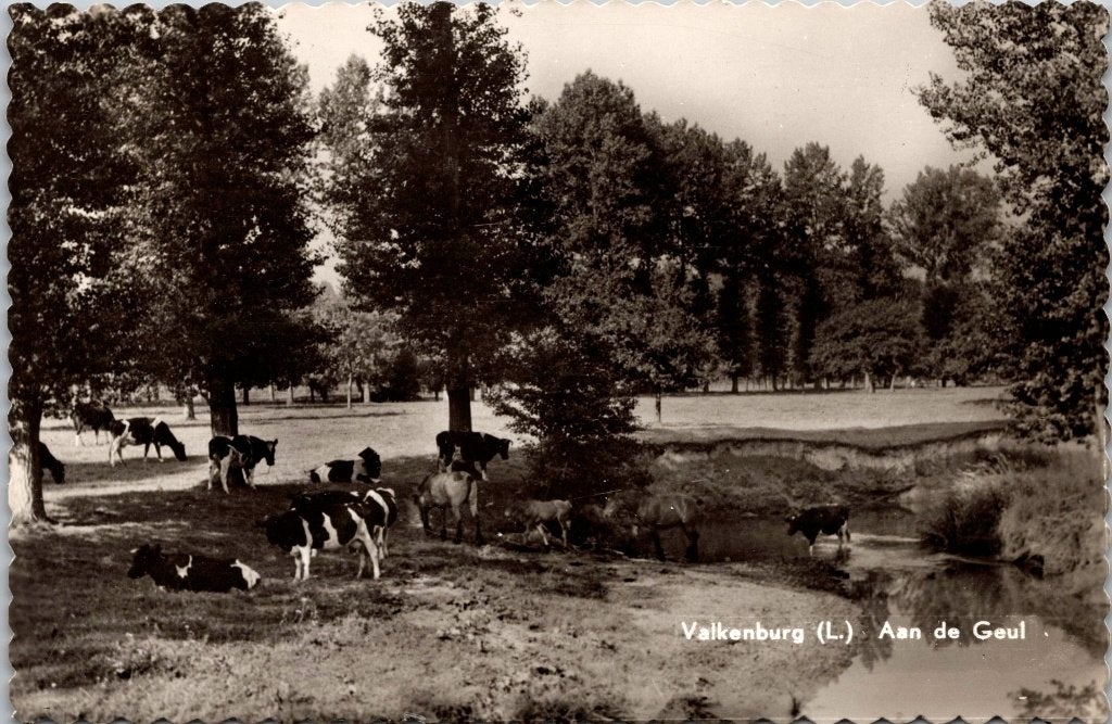Valkenburg - 12 oude ansichtkaarten Aan de Geul IX, Verzenden, 1940 tot 1960, Gelopen, Limburg