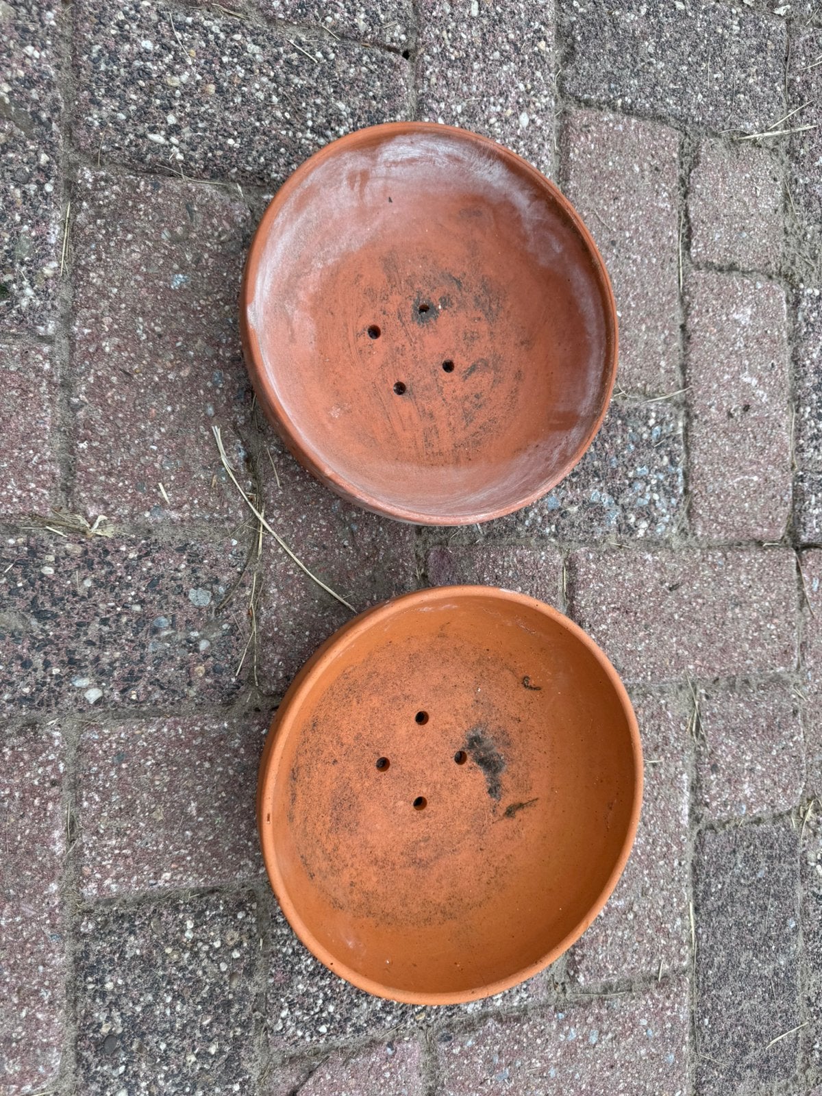 Duiven broedschalen 11 stuks prijs per stuk, Ophalen, Gebruikt