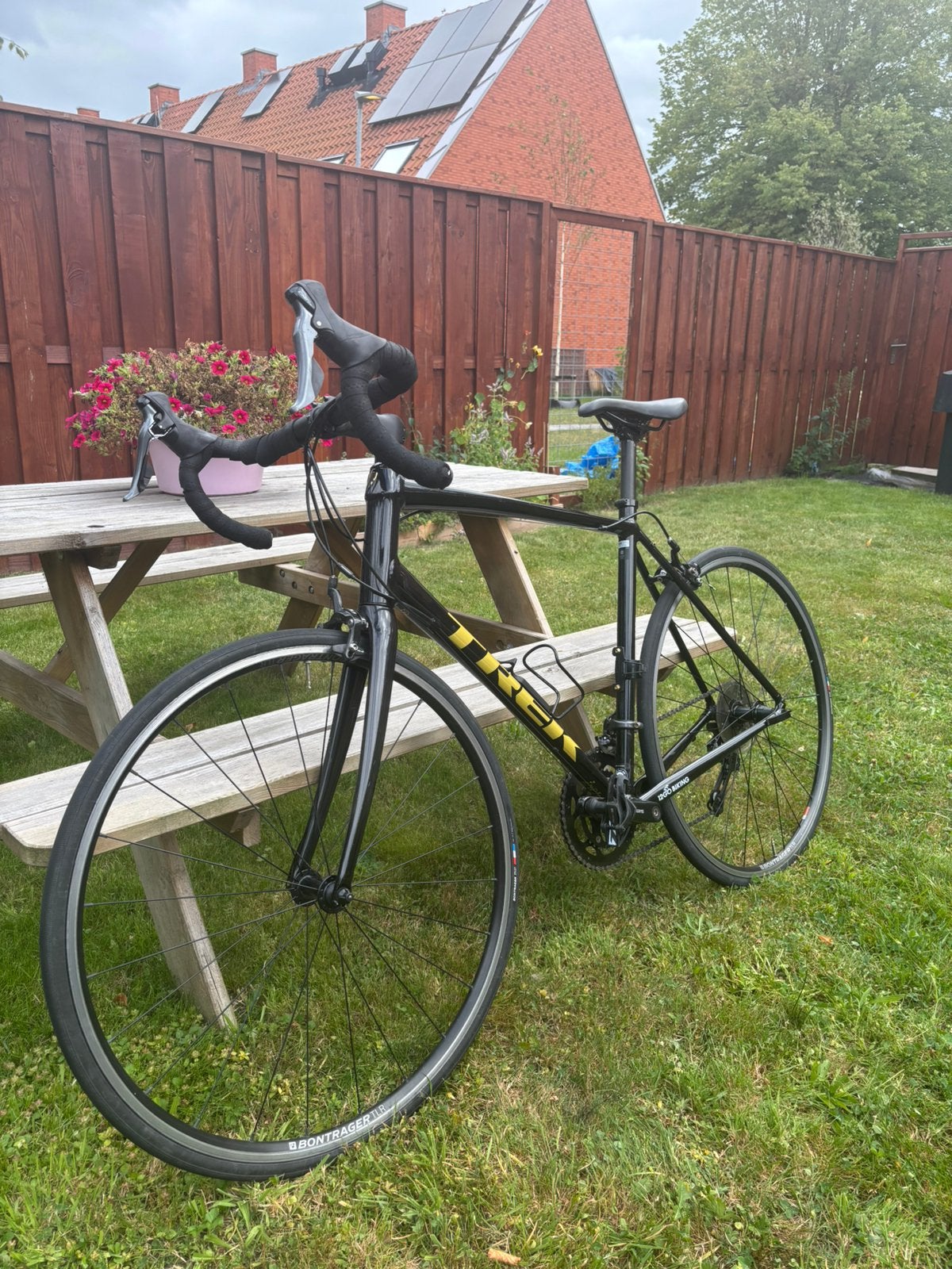 Trek Domane AL2 racefiets maat L/58cm, Gebruikt, Velgrem, 15 tot 20 versnellingen, 57 tot 61 cm